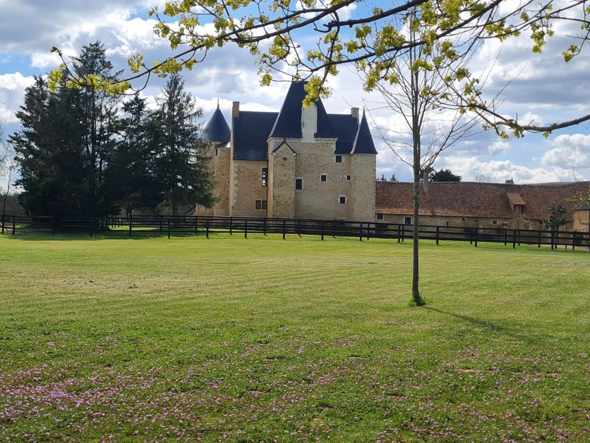 Manoir De La Beuneche - Location Du Manoir Entier Roeze-sur-Sarthe Exterior photo